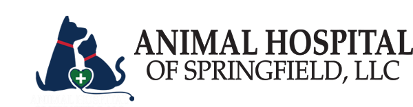 Animal Hospital of Springfield