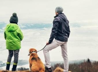 6 Things You Need to Know Before Hiking With Your Dog